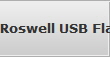 Roswell USB Flash Drive Data Recovery Services